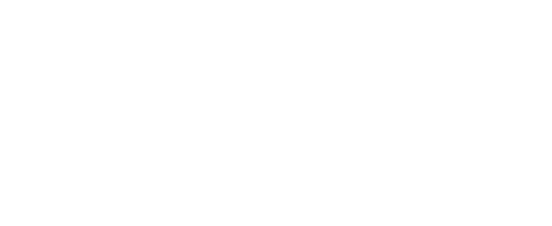 Simplex Sciences